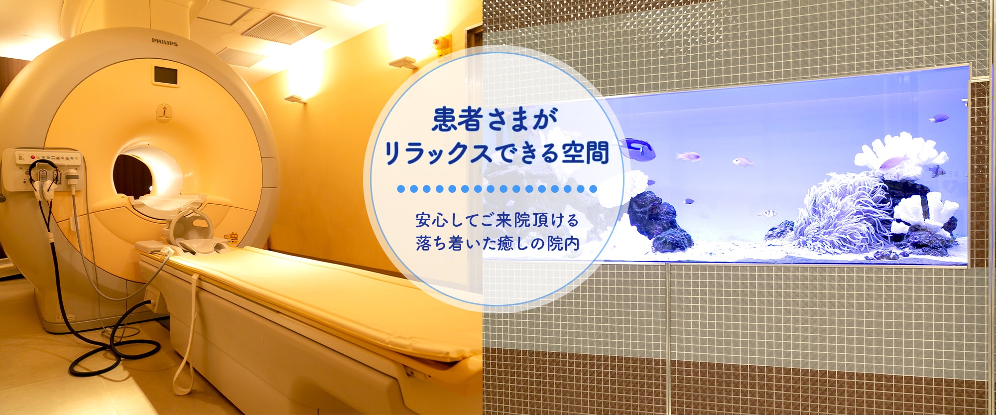 患者さまがリラックスできる空間 安心してご来院頂ける落ち着いた癒しの院内